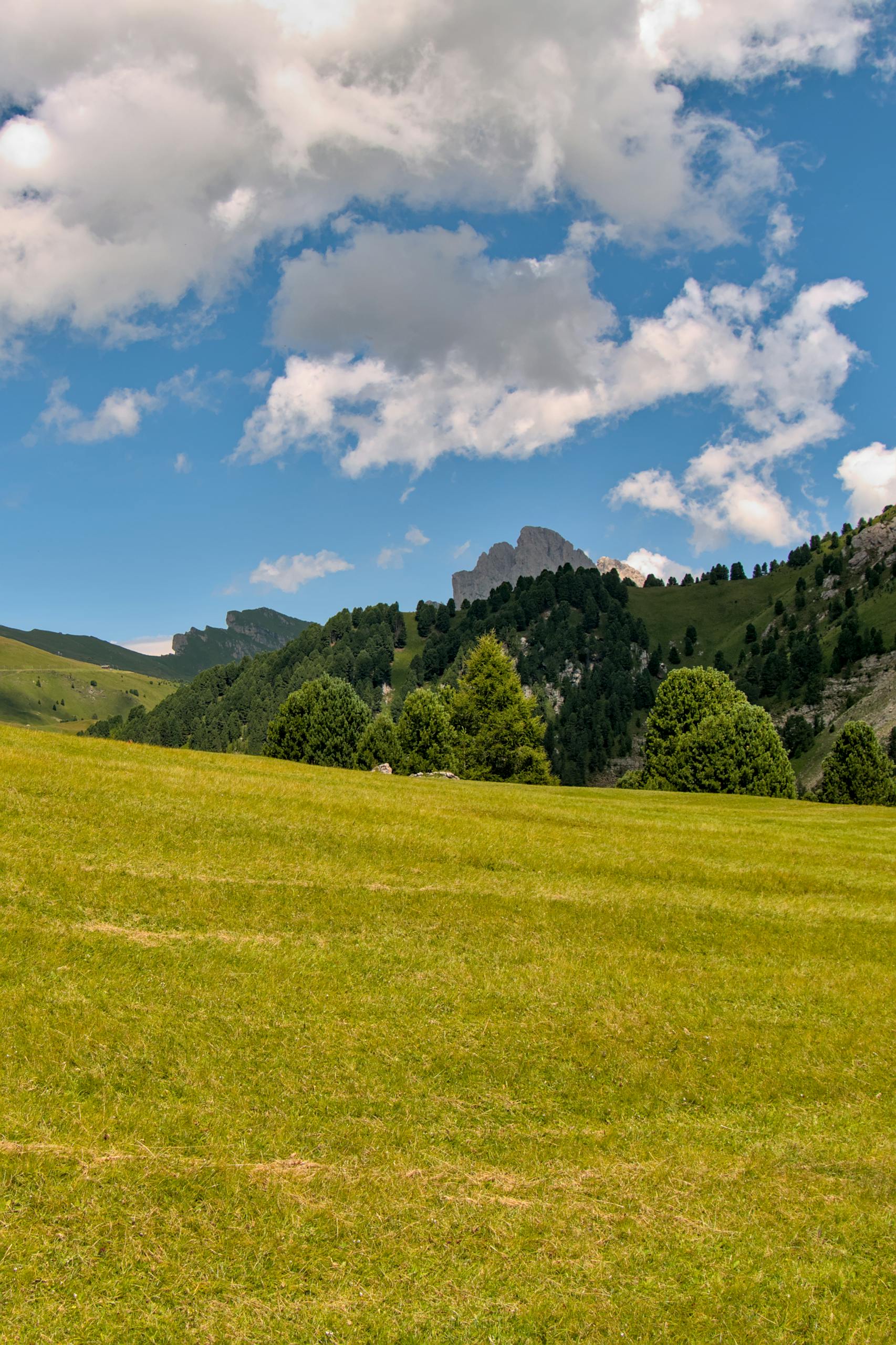 A grassy field with mountains in the background